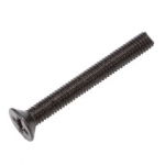 Mounting Screws