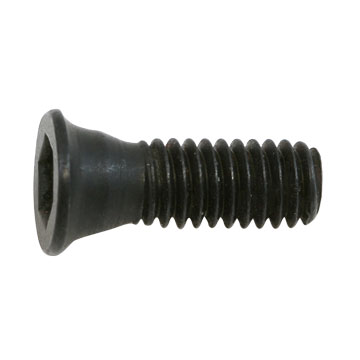 Screw, Insert Retaining, M4x12